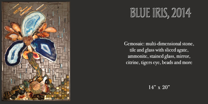 BlueIrisComplete2014